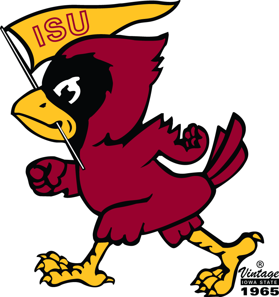 Iowa State Cyclones 1965-1978 Primary Logo diy iron on heat transfer